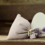 lavender-823600__180